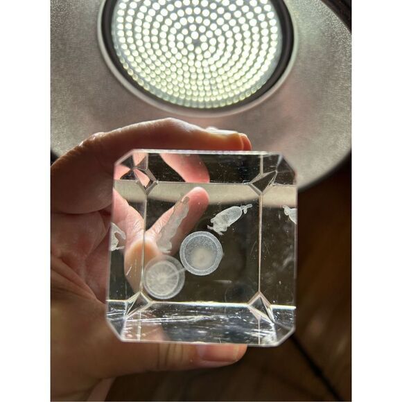 Vintage Bird Cage Bubblegram Glass Paperweight, Vitrograph 3D Laser Etched Glass - Picture 7 of 12